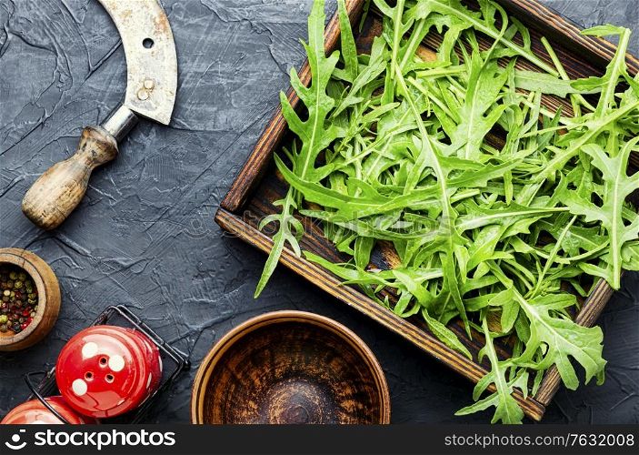 Green fresh rucola or arugula leaf in wooden box.Rocket salad. Green fresh rucola leaves