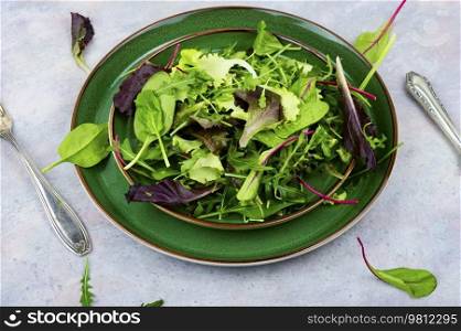 Green fresh salad with arugula, spinach, purple lettuce and chard. Fresh spring salad.. Fresh green salad, lettuce