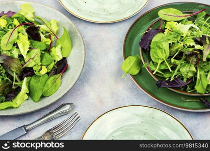 Green fresh salad with arugula, spinach, purple lettuce and chard. Vegetarian vegan food, lettuce. Fresh light green salad