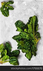 Green fresh spinach leaves on a neutral gray concrete background. Flat lay of freshly cut spinach lettuce. Healthy detoxification vegan diet concept. Banner idea