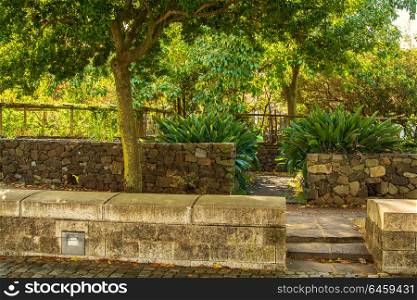green garden with green plants and stone walls