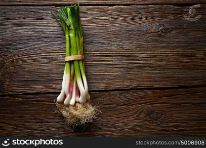Green garlic bunch on a wooden background texture
