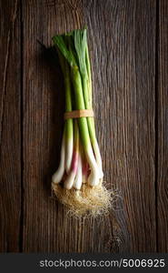 Green garlic bunch on a wooden background texture