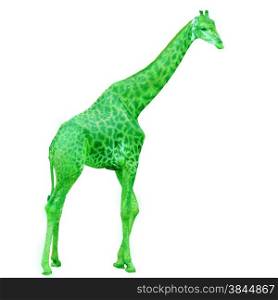 green giraffe isolated on white background