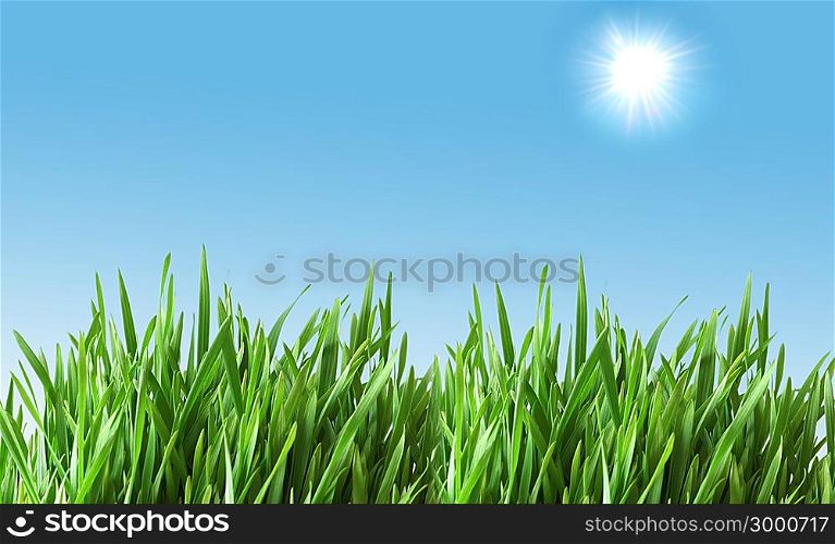 Green glass against the blue sky with sun