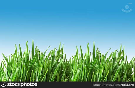 Green glass isolated on the white background