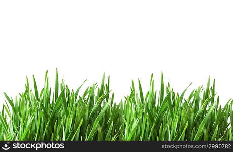 Green glass isolated on the white background