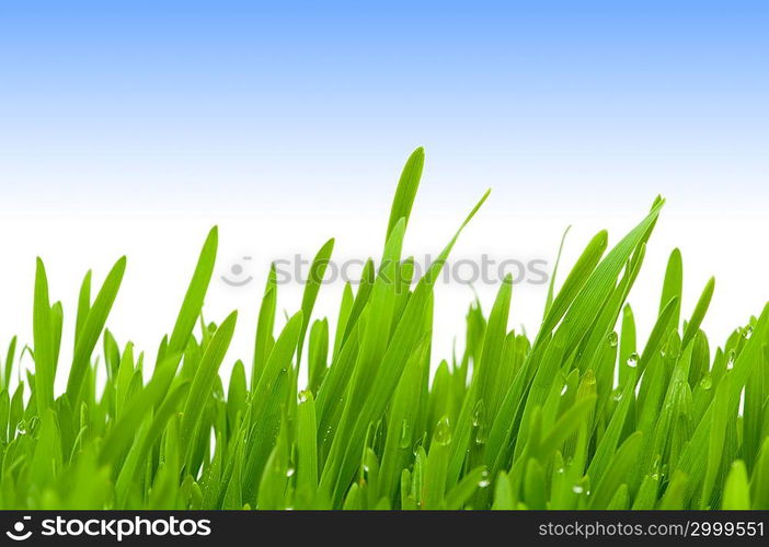 Green glass isolated on the white background