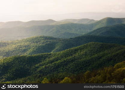 Green golden layers of the hills and valleys of Shenandoah National Park in the late springtime afternoon.