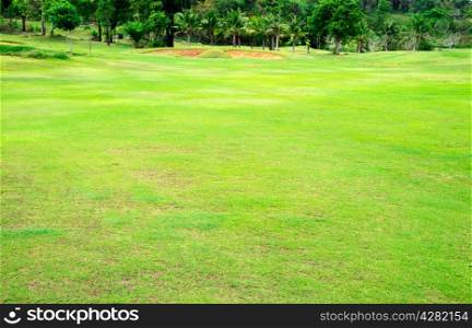 green golf field and palm