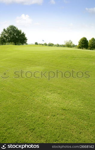 Green Golf grass landscape in Texas leisure sport outdoor