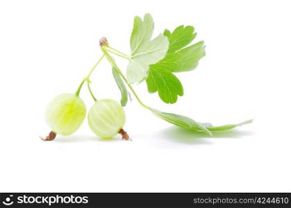 Green gooseberry fruit on white