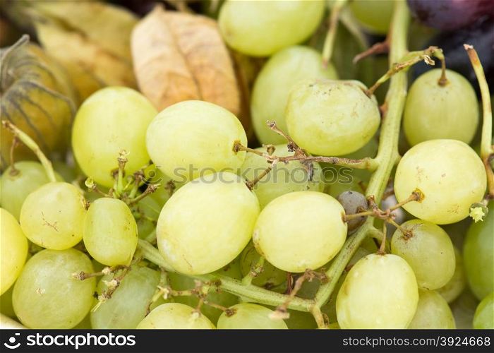 Green grape background. Closeup of a green grape background with some grapes already eaten