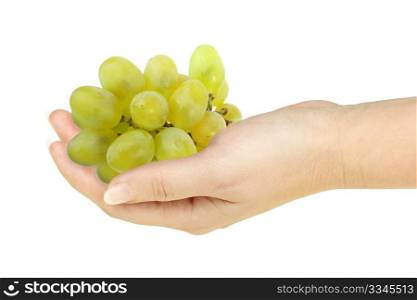 Green grape in a hand of woman. Isolated on white background. Close-up. Studio photography.
