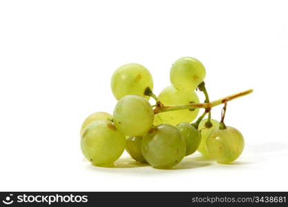 green grape isolated on white background