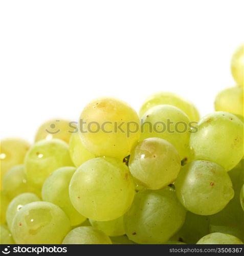 green grape isolated on white background