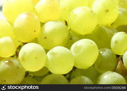 green grape isolated on white background