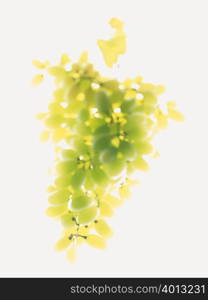 Green grapes