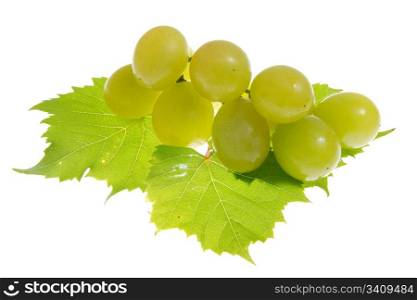 Green grapes isolated on white