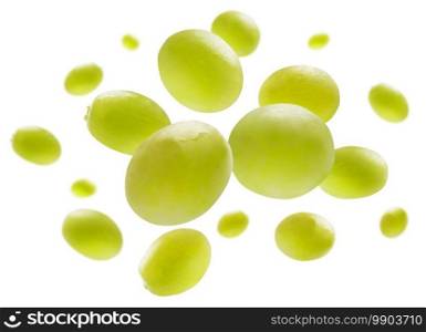 Green grapes levitate on a white background.. Green grapes levitate on a white background