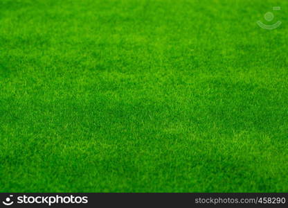 Green grass