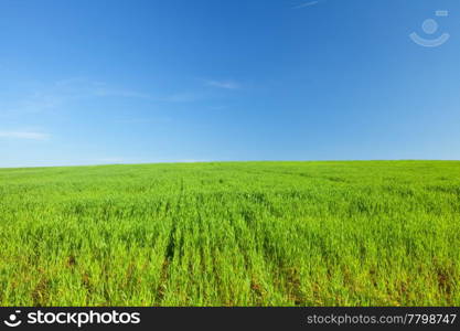 Green Grass and Blue Sky