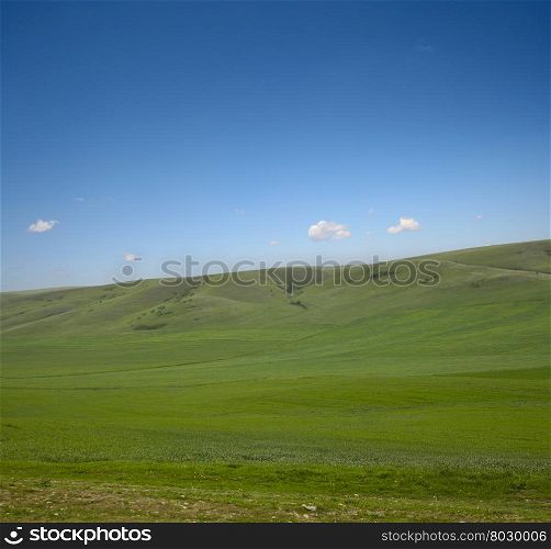 green grass and blue sky landscape