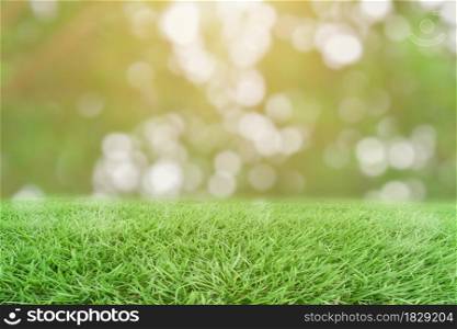Green grass and blurred bokeh nature background.