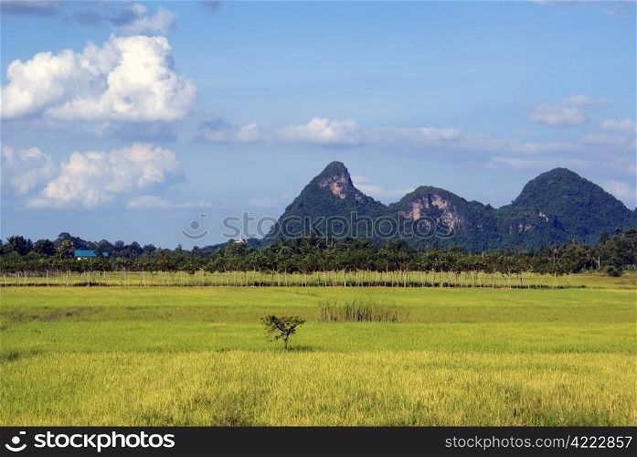Green grass and hills in south Thailand