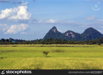 Green grass and hills in south Thailand