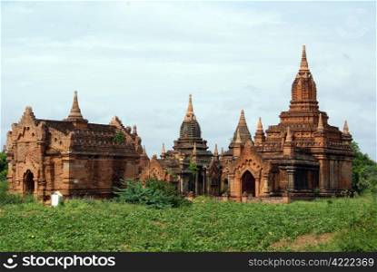 Green grass and old pagodas in Bagan, Myanmar