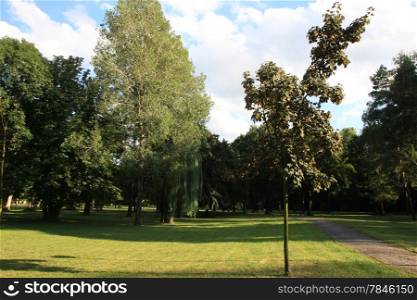 Green grass and trees in the city park