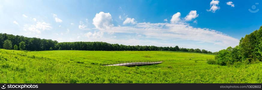 Green grass and trees on a fresh meadow. Blue sky and clouds on background. Panoramic landscape. Fresh meadow landscape.