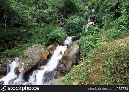 Green grass and waterfall in Sri Lanka
