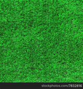 Green grass as background or texture