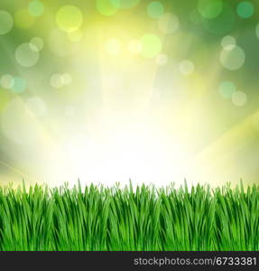 green grass background