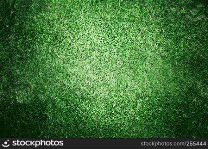Green Grass background texture