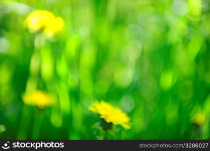 Green grass blurred in-camera for natural background or or bokeh