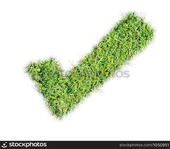Green grass check mark icon on over white background
