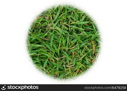 Green grass circle