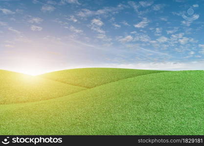 Green grass field and blue sky with white clouds. Beautiful natural meadow landscape