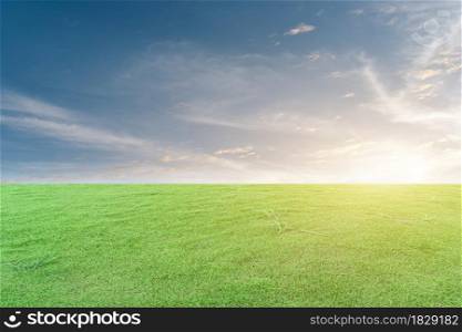 Green grass field and blue sky with white clouds. Beautiful natural meadow landscape