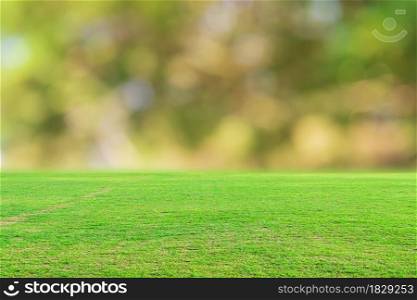 Green grass field and blurred bokeh nature background.