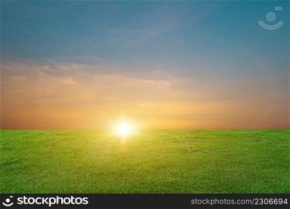 Green grass field at beautiful sunset sky background. rural landscape