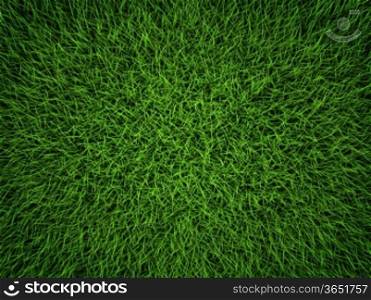 Green grass field background. Top view, 3d render&#xA;