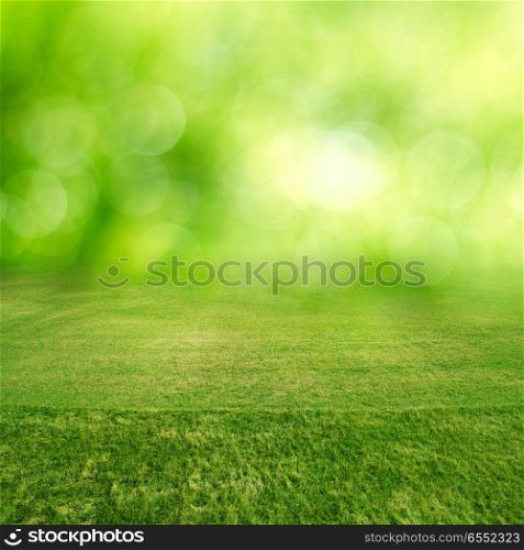 Green grass field bokeh. Green grass field bokeh summer background. Green grass field bokeh