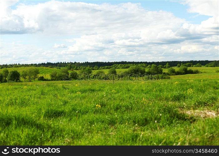 green grass field nature landscape