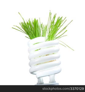 Green grass growing from lamp isolated on white background