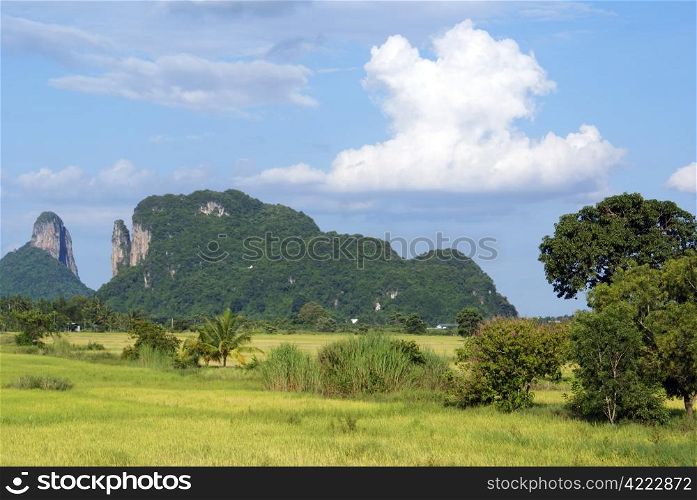 Green grass, hill and trees in south Thailand