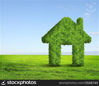 Green grass house symbol against blue sky